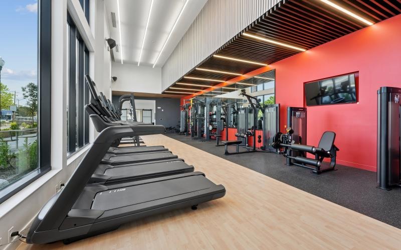 a gym with treadmills