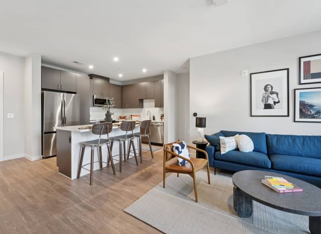 Alta Nova apartments Modern open-concept kitchen and living room with gray cabinets, blue sofa, and barstool seating.