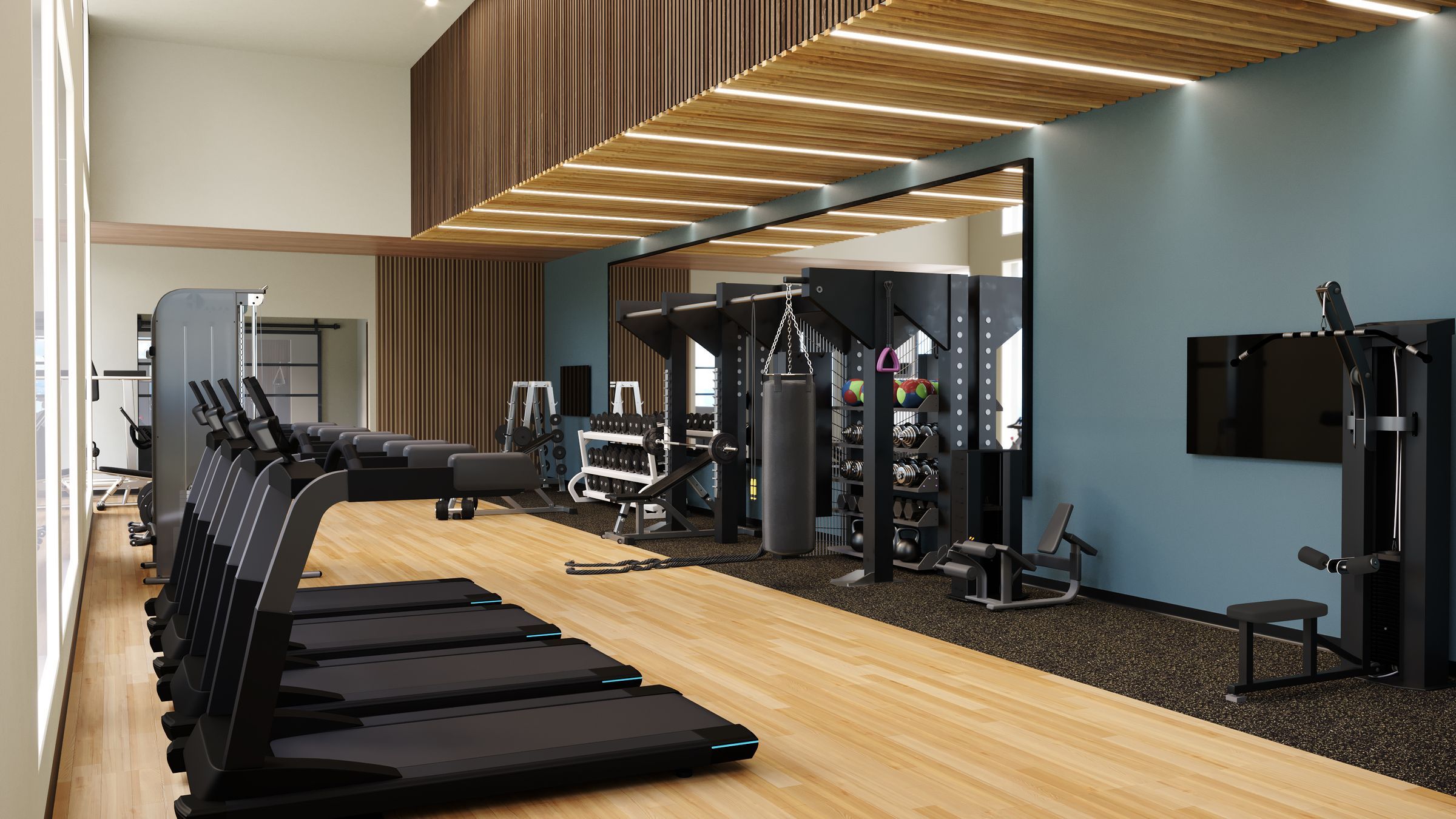 Person's hand grabbing a dumbbell from a rack filled with various weights in the state-of-the-art fitness center at Alta Nova Apartments.