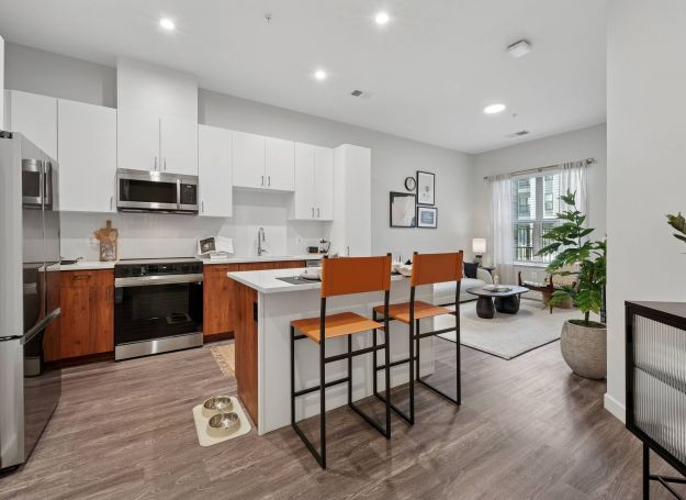Alta Nova apartments Modern kitchen with island seating, stainless steel appliances, and open living room with large windows.