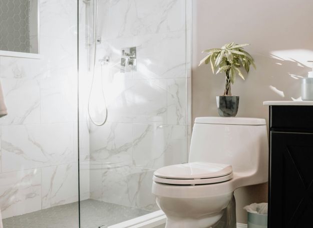 Modern bathroom at Alta Nova apartments with a glass shower, white toilet, dark vanity, potted plant, and gray bath rugs.