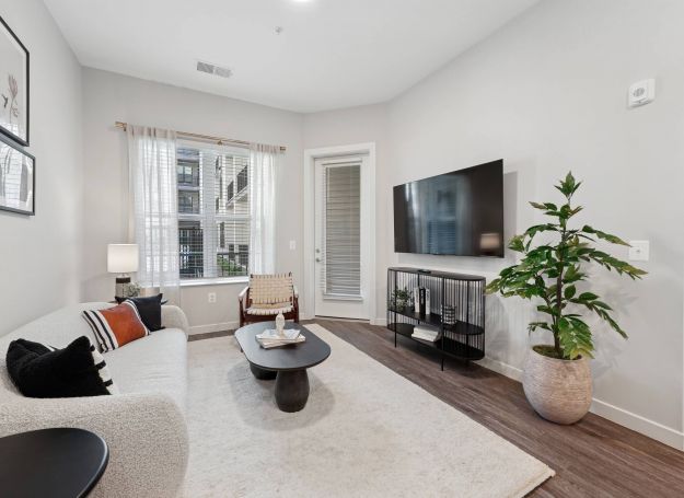 Alta Nova apartments  Modern living room with a sofa, coffee table, TV, potted plant, and large window letting in natural light.